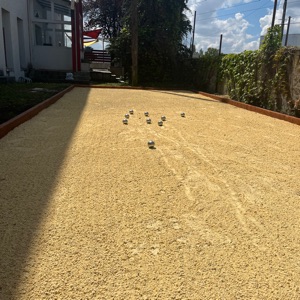 Le Trinquet Bordelais