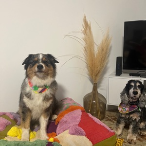 Fiurinda Biancarelli 