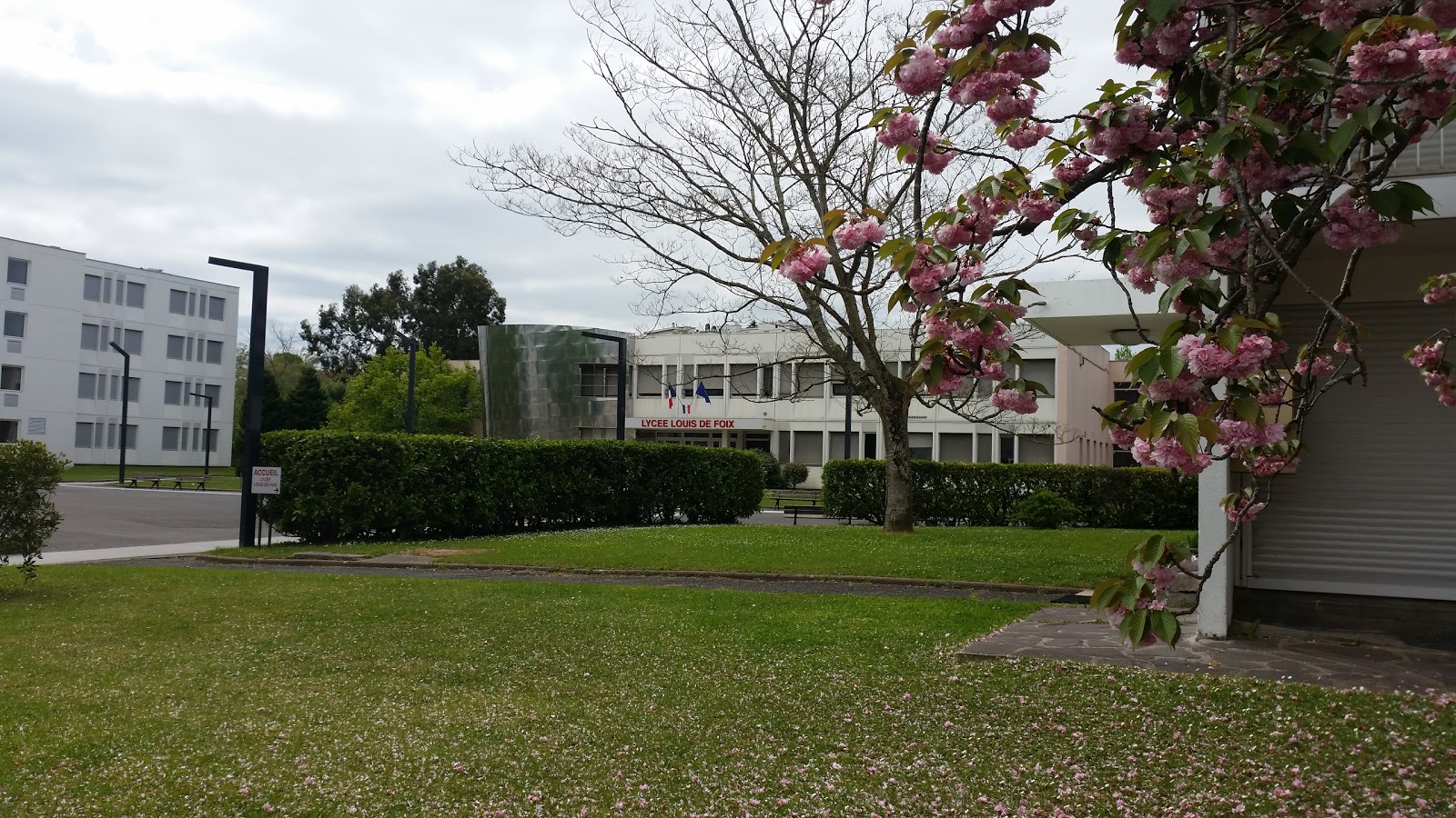 School Louis De Foix