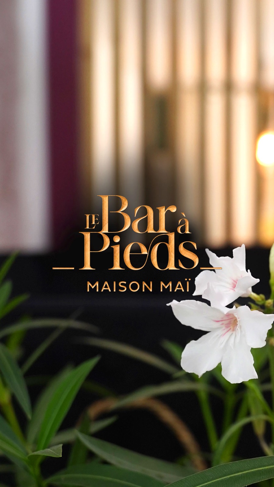 Le Bar À Pieds