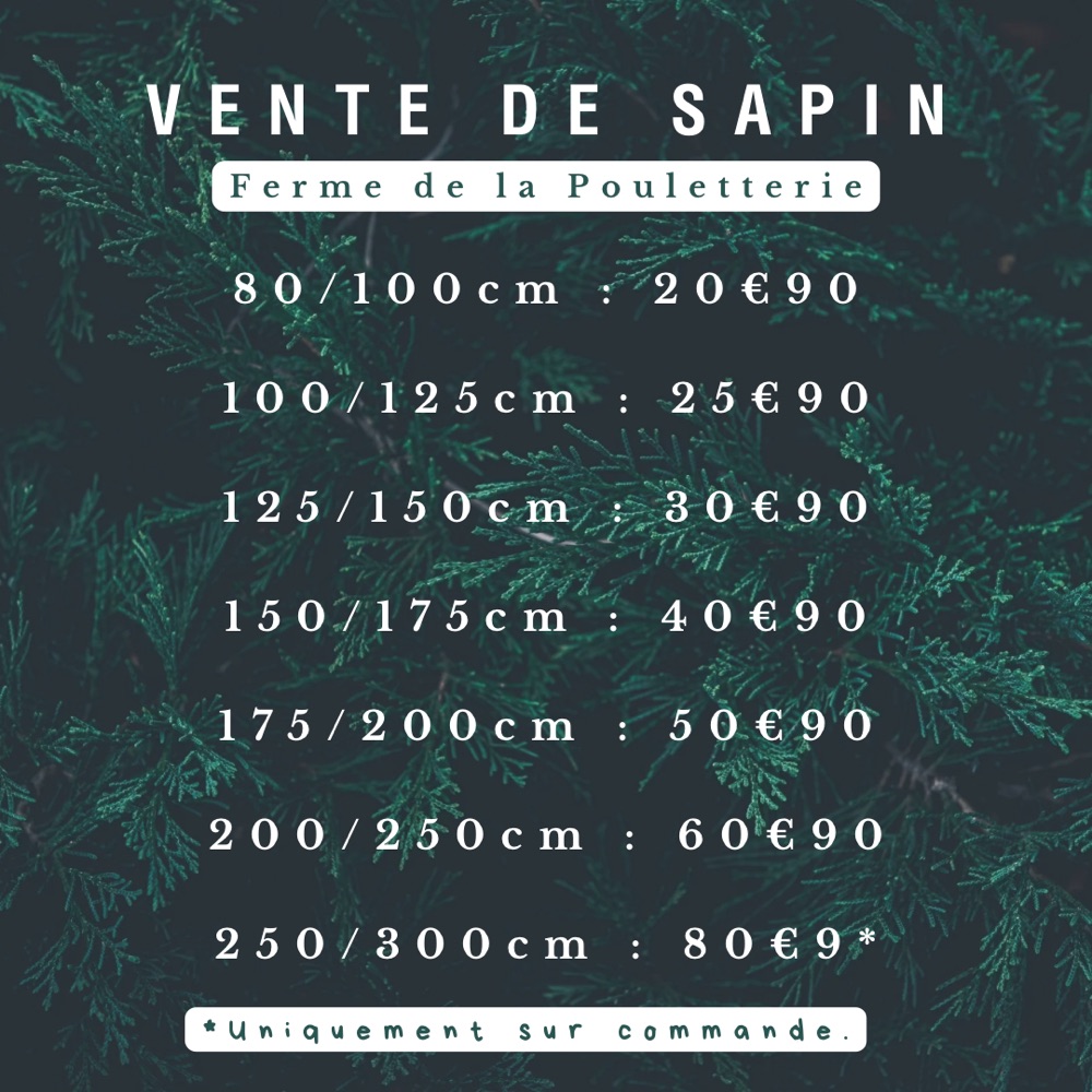 Votre Sapin Vous Attends À La Pouletterie ! 🌲