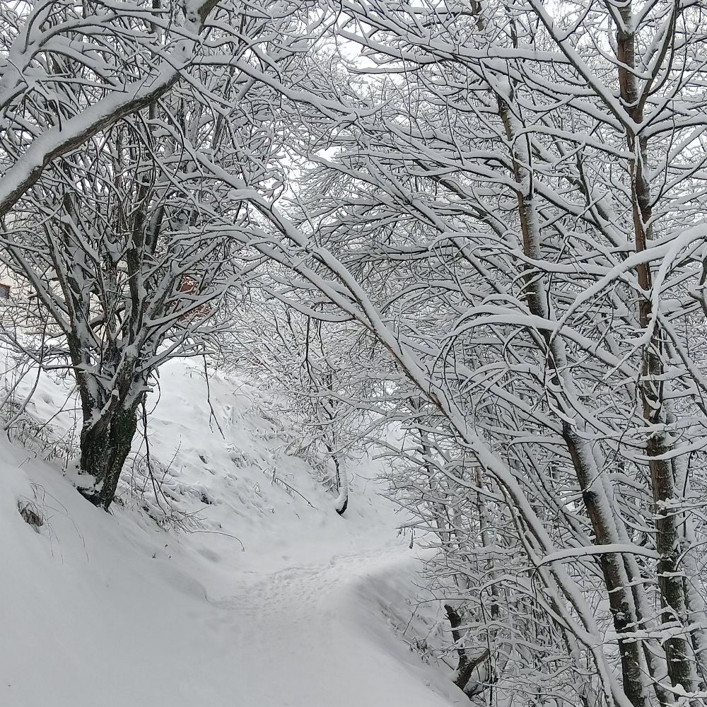 Fête De Fin D'année 