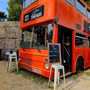 Woody Bohemian X Koa’la