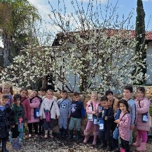 נורית עגלת קפה