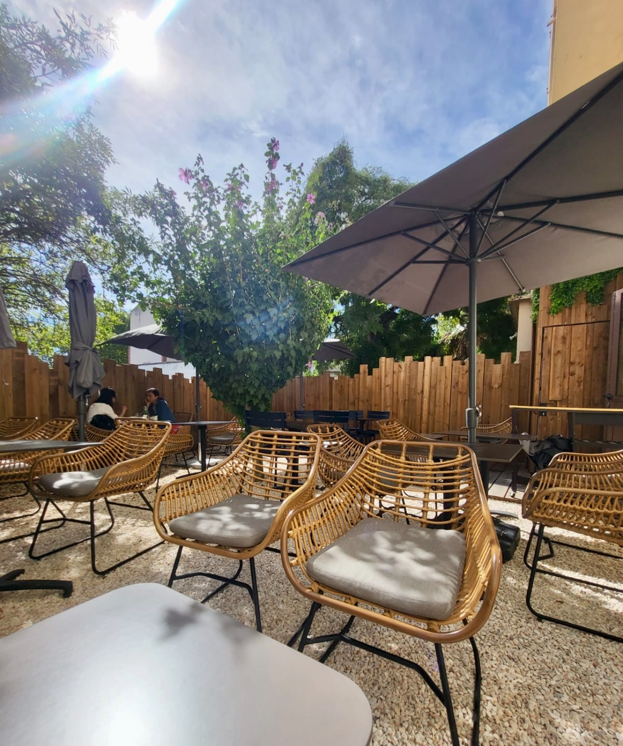 Coffee Shop Acapella