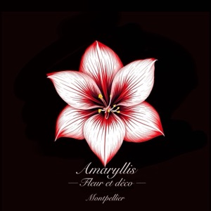 Nicole Fleurs / Amaryllis Fleurs Et Déco