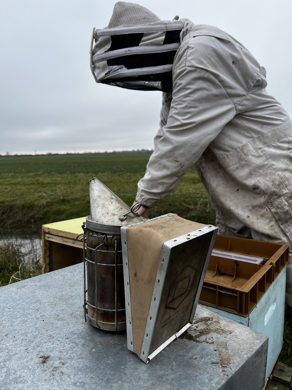 Miellerie De L'agapanthe