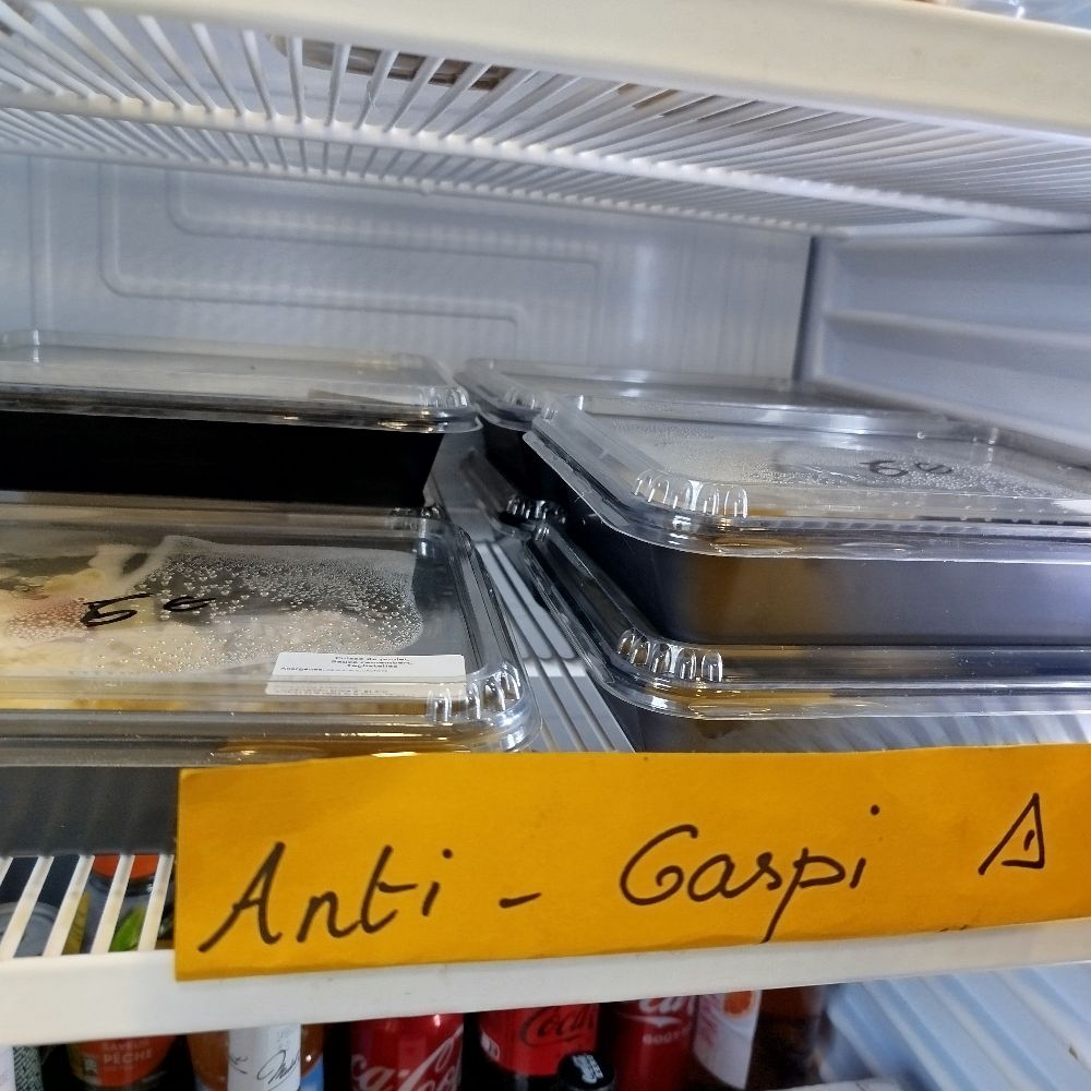 Anti Gasti