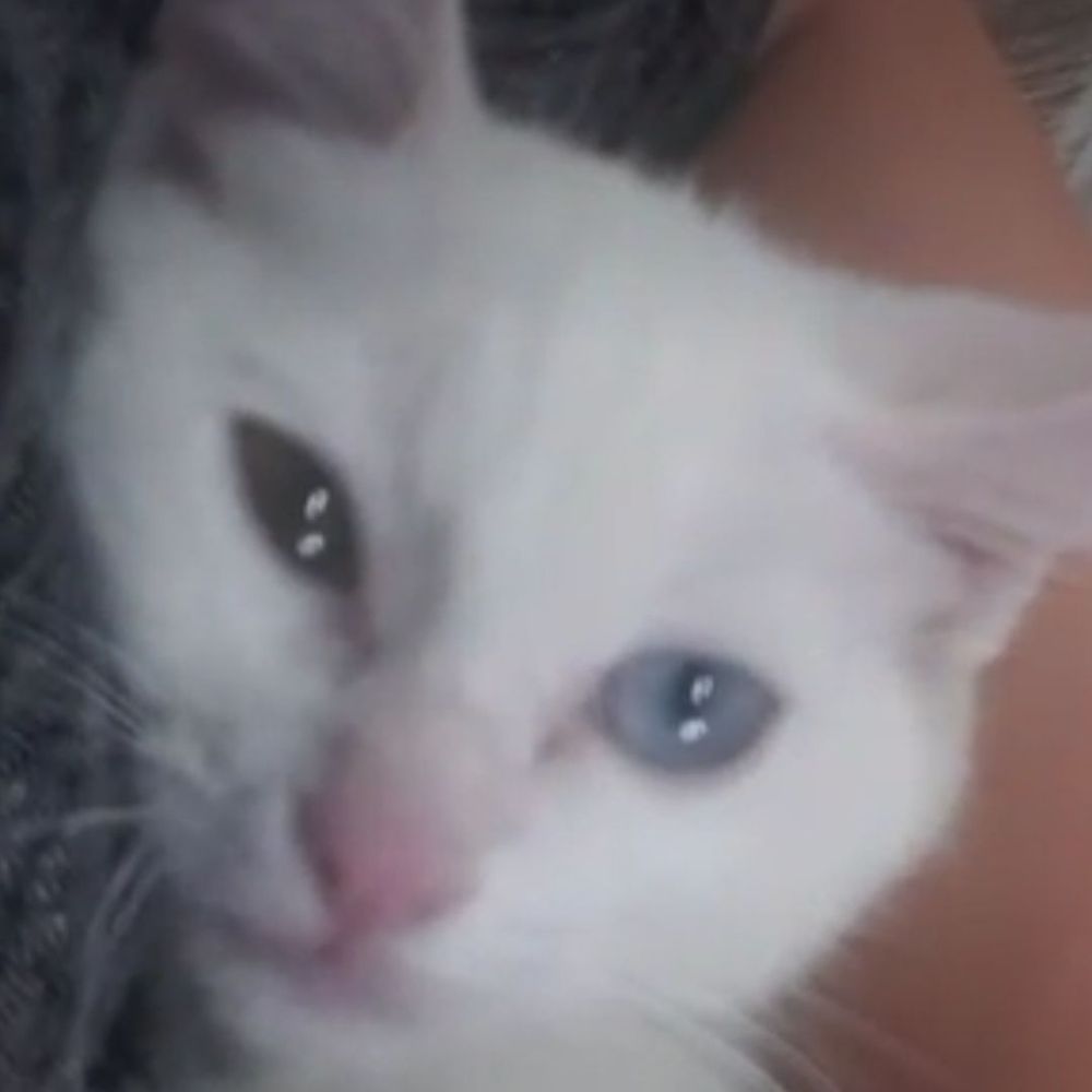 Bon Pour 1 Massage Gratuit 