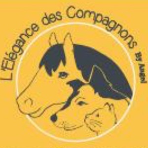 L'élégance Des Compagnons By Angel
