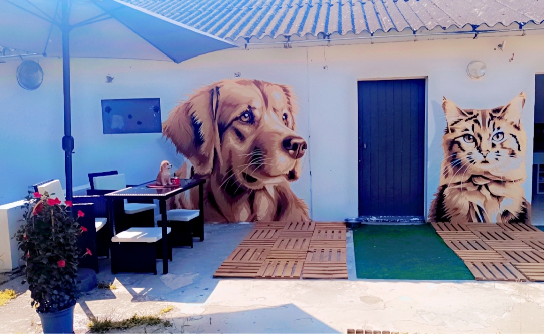 Pension Chien Et Chat De L'angelardiere "