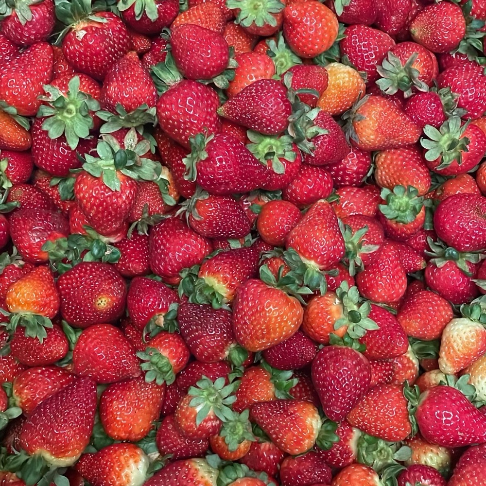 Arrivage De Fraises 