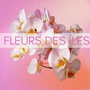 Fleurs Des Iles