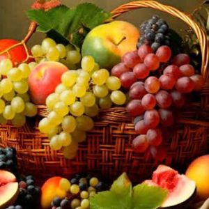 Inter-Solutions Consulting 