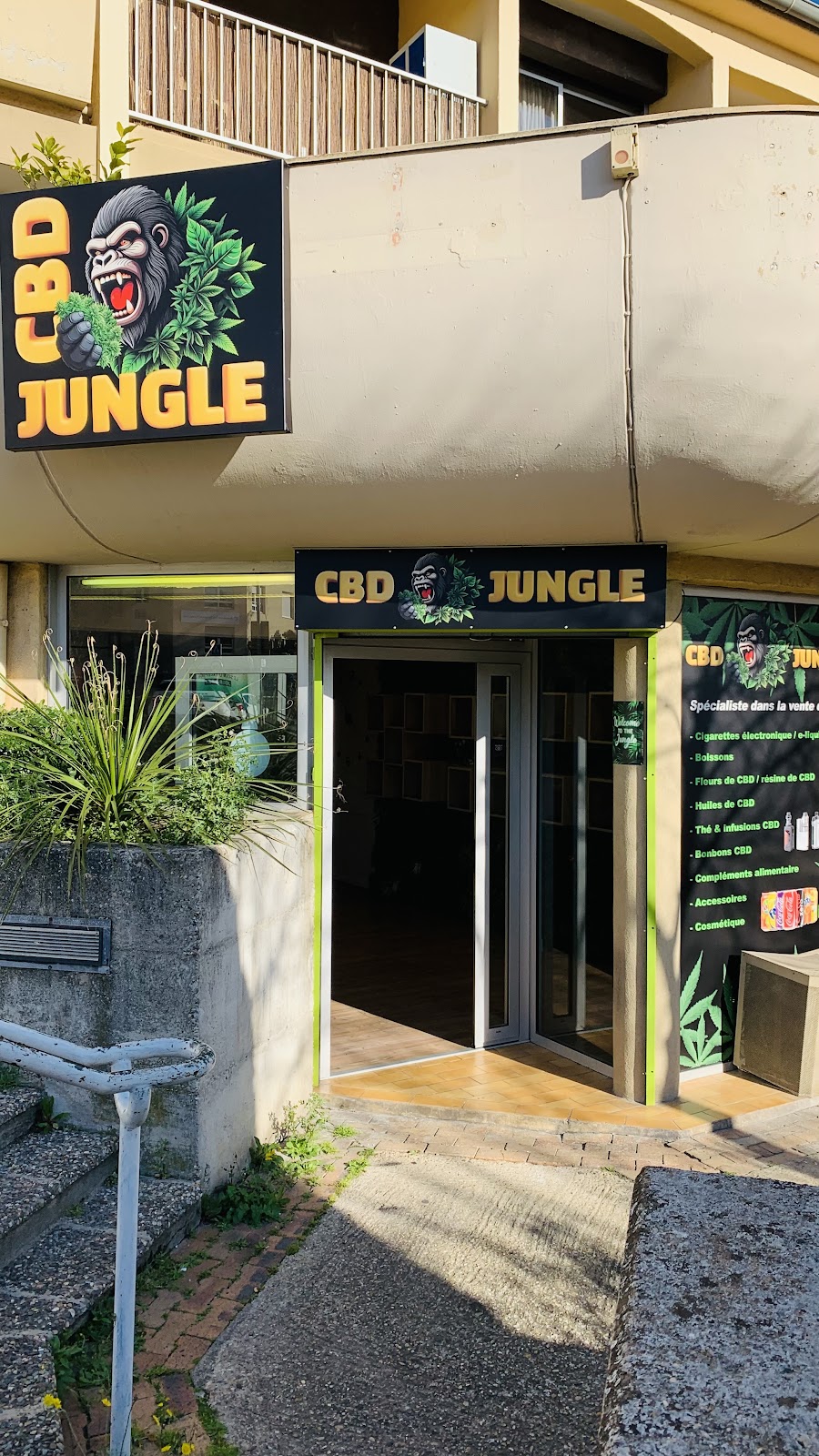 Cbd Jungle
