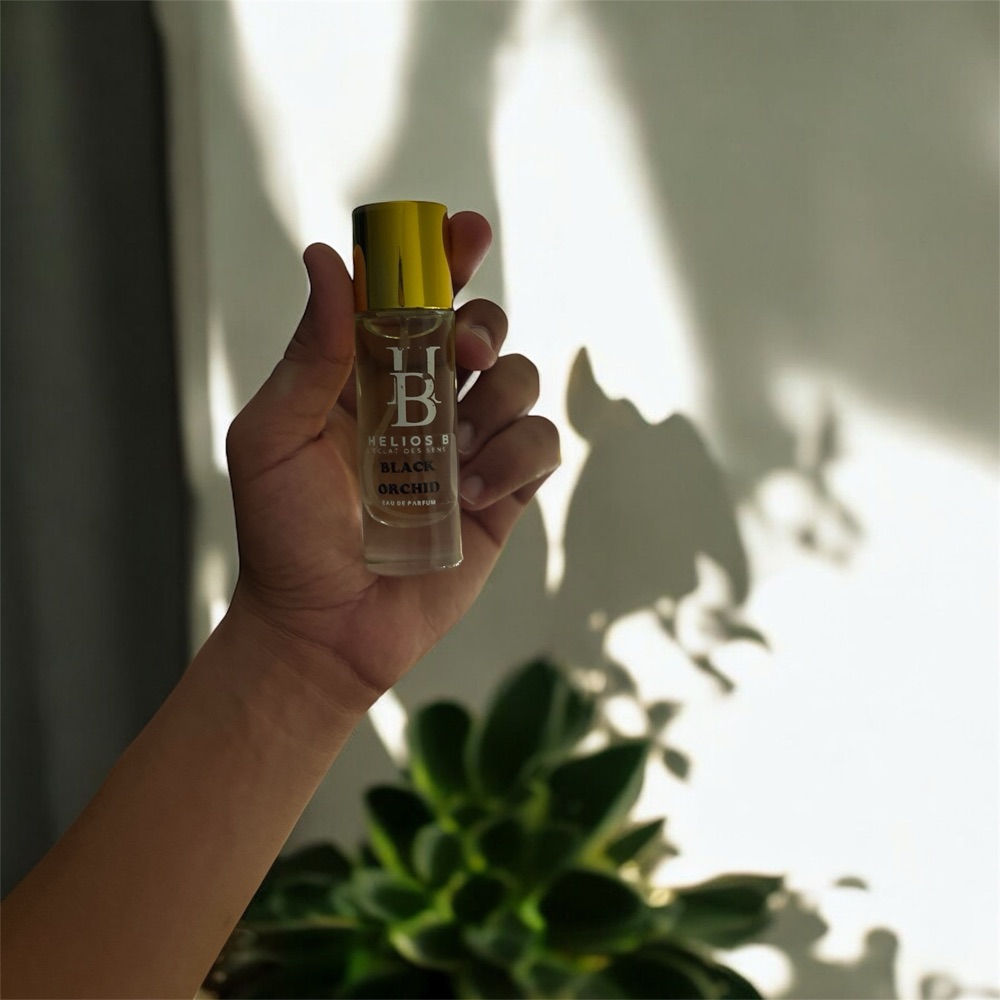 Nouvelle Arrivage ⭐️