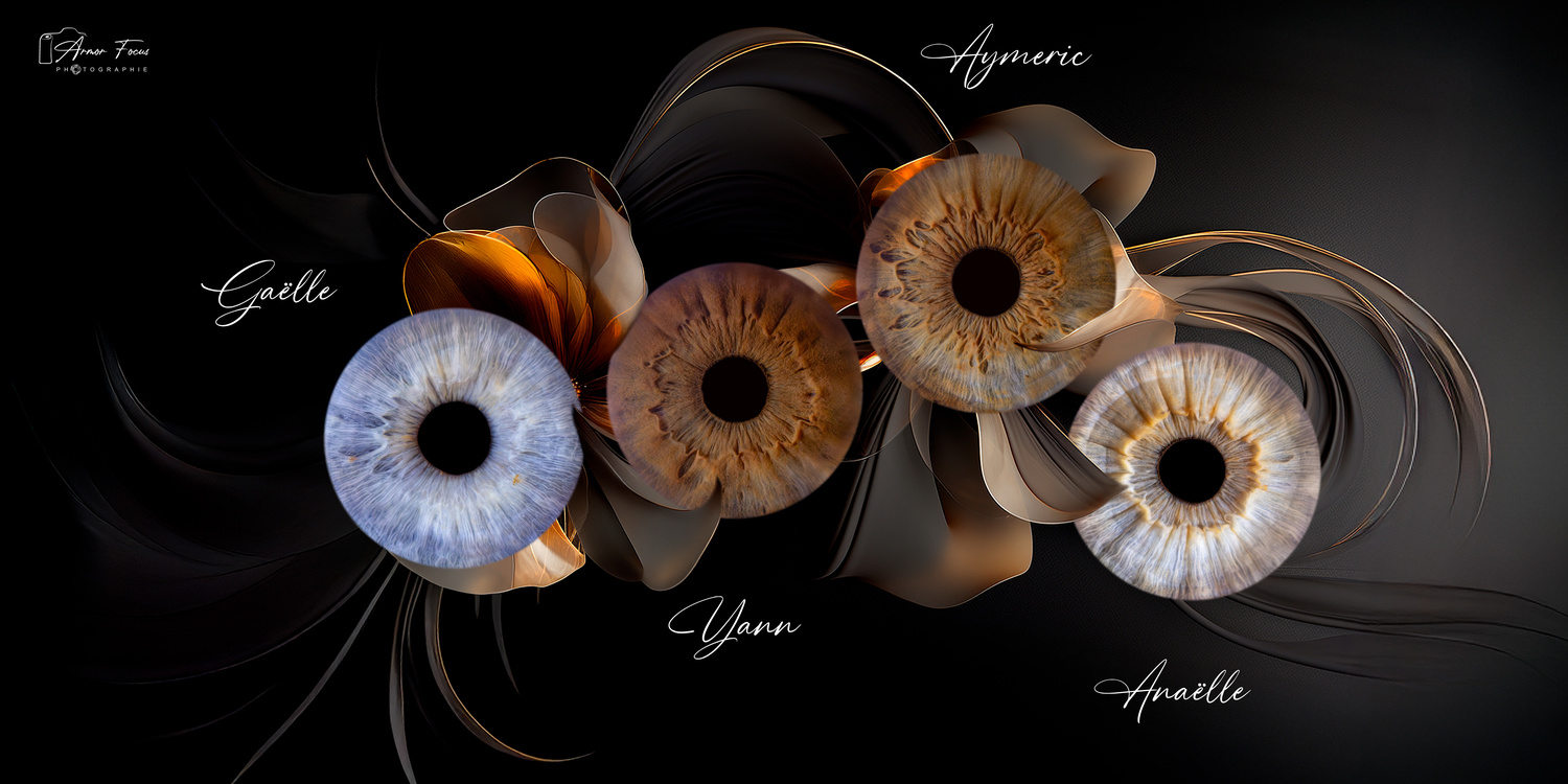 Armor Focus Photographie