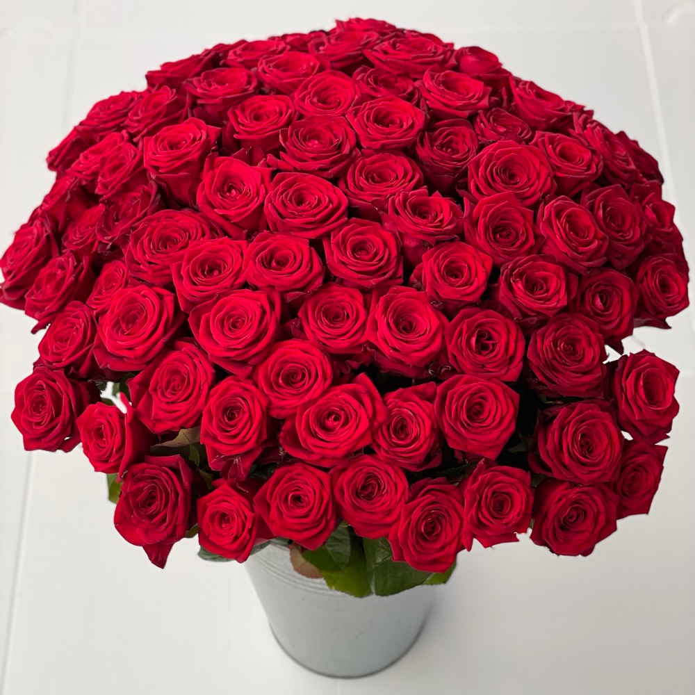 Ouverture Exceptionnelle 