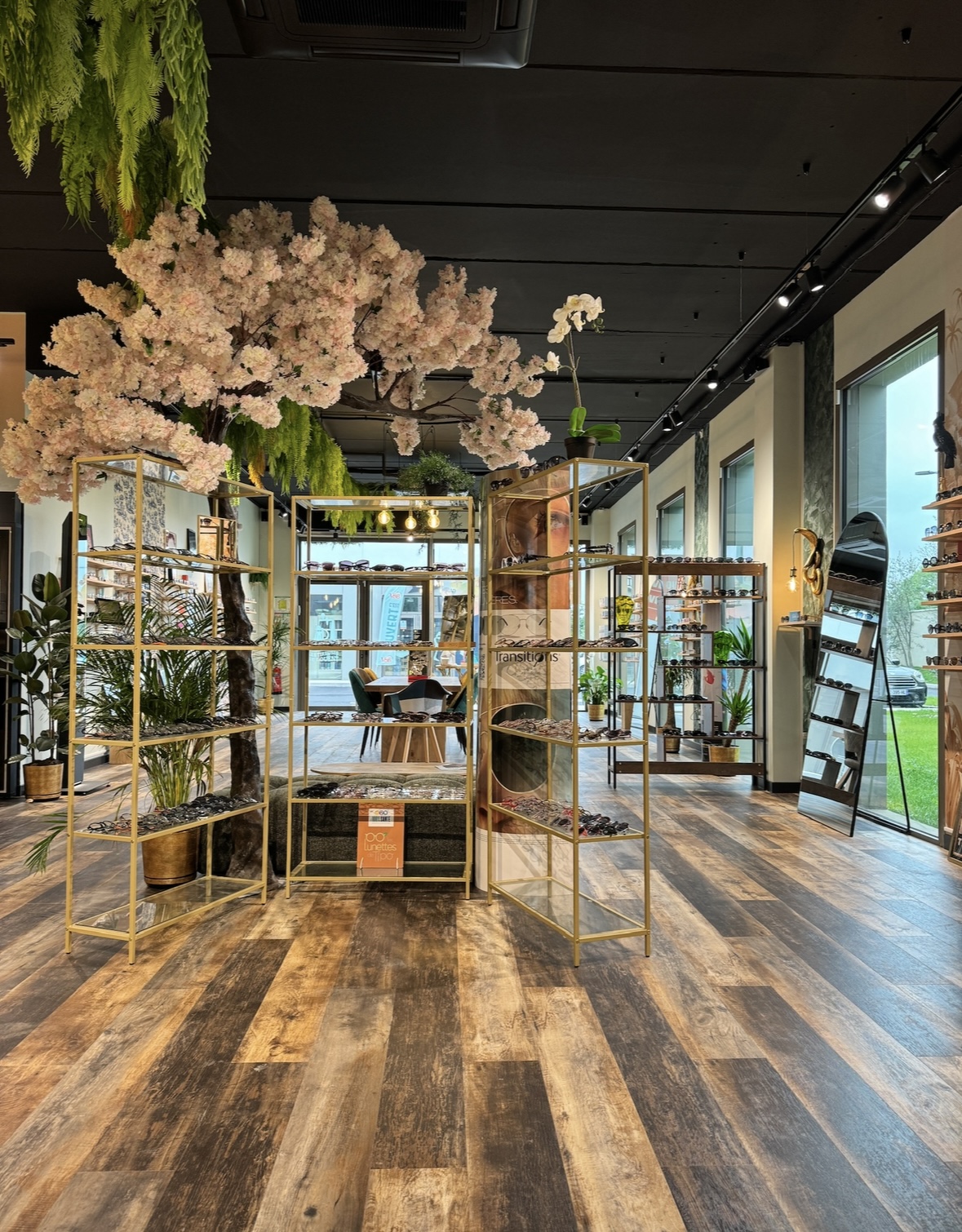 Les Lunettes De Tipo Vourles