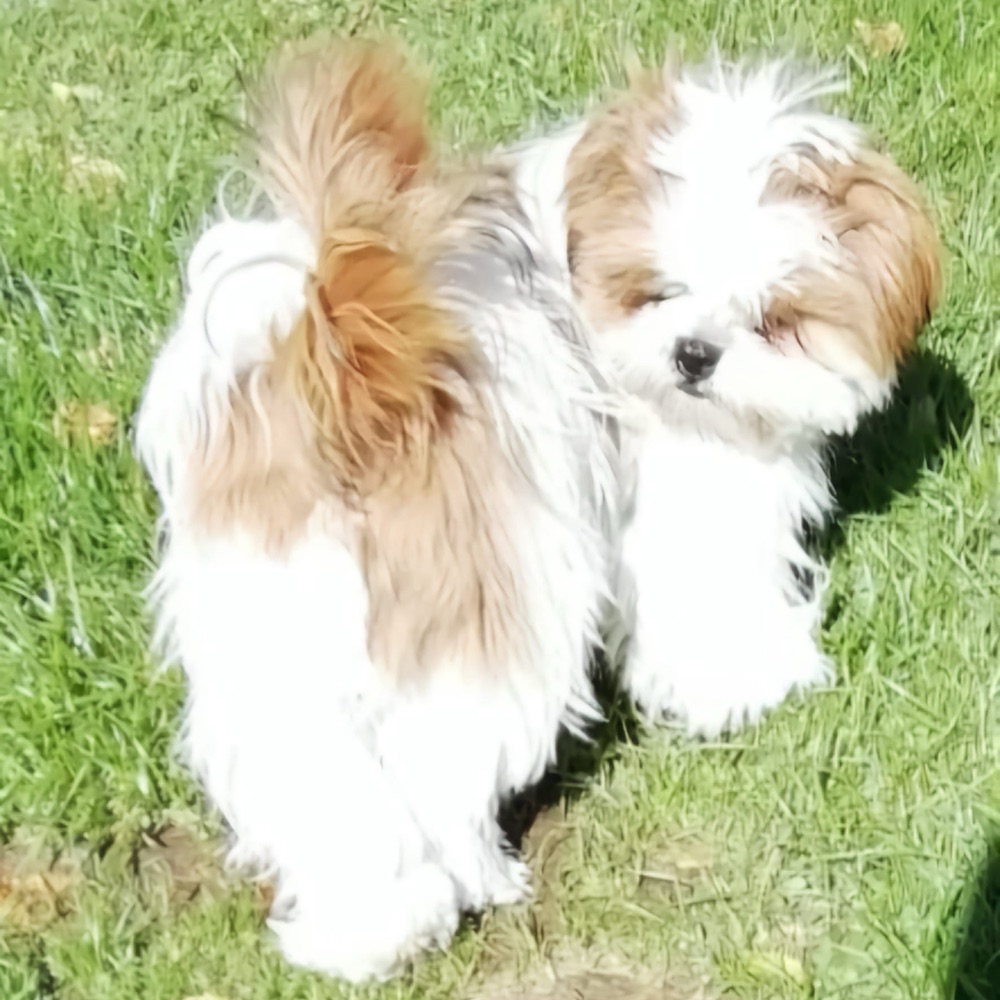 Offre Décembre 2025