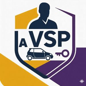 La Vsp Du Service