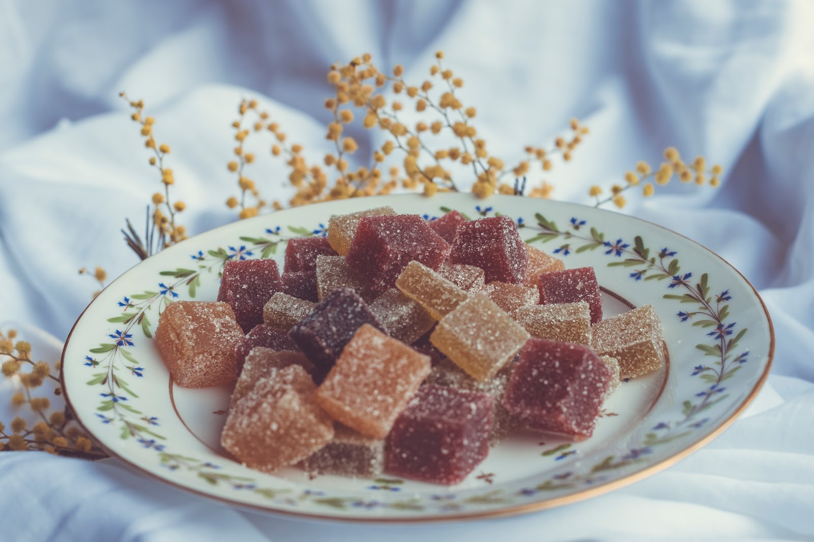 Chocolaterie Maison Fourteau