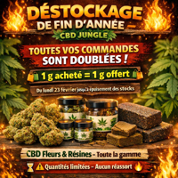 C’est Aujourd’hui 🔥 Déstockage De Fin D’année – Cbd Jungle 🔥