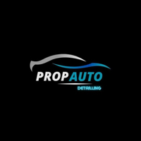 Propauto Detailing
